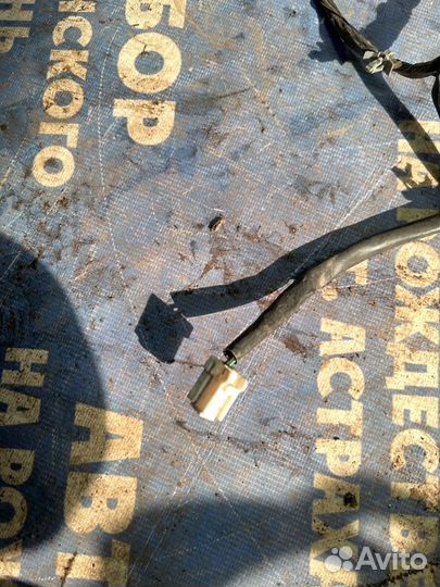 Проводка салона Nissan Maxima A33 седан 2001