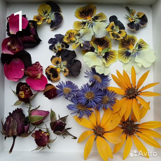 Набор сухоцветов для творчества
