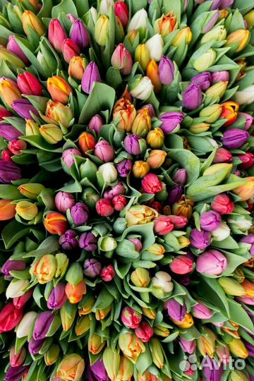 Букет из ландыша, тюльпанов, Королевского ландыша