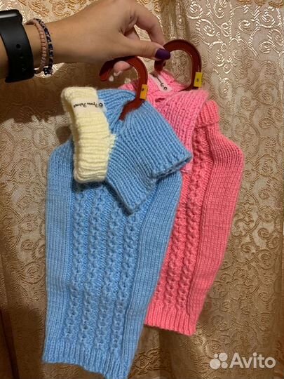 Жилетка и шапочка для собак