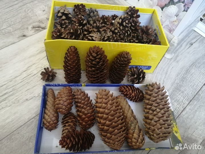 Шишки для поделок