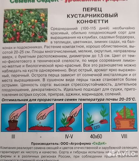 Рассада перцев