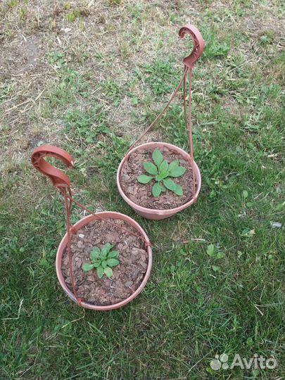 Кашпо подвесное для цветов