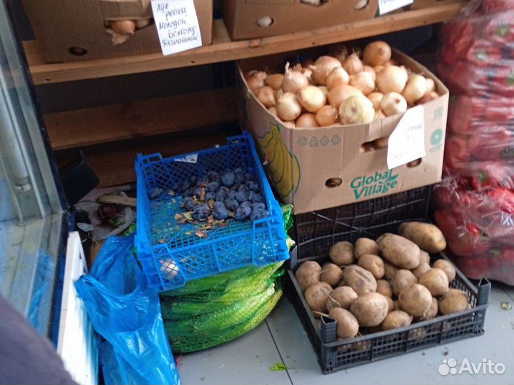 Пластиковые ящики бу