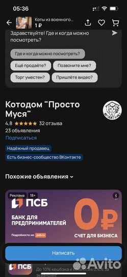 Котики бесплатно в добрые руки