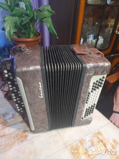 Баян восток. Кировский. оумп