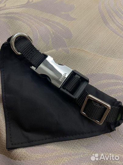 Ошейник и поводок prada брендовый