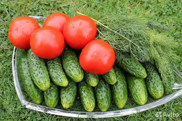 Упаковщик вахта Людиново