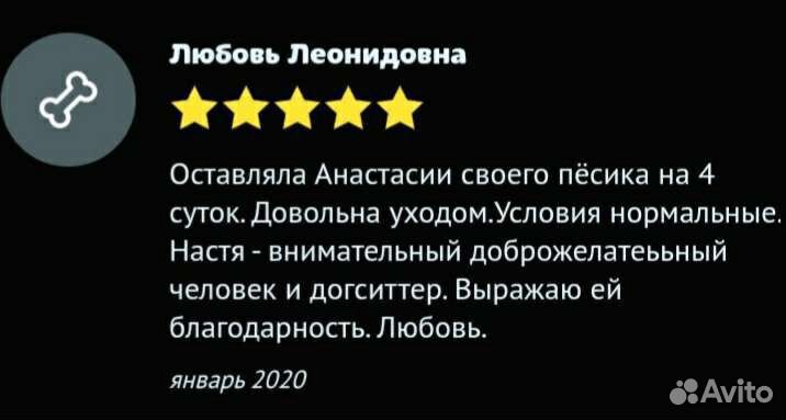 Передержка собак