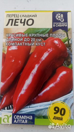 Рассада перца Лечо