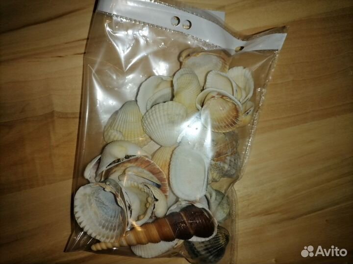 Ракушки для аквариума