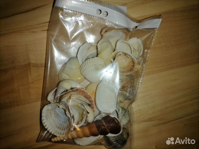 Ракушки для аквариума