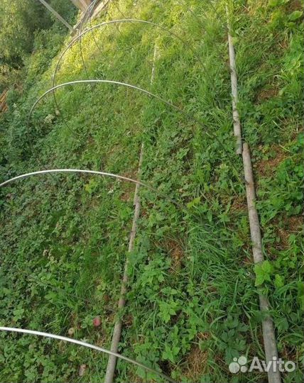 Тепличка дуговая