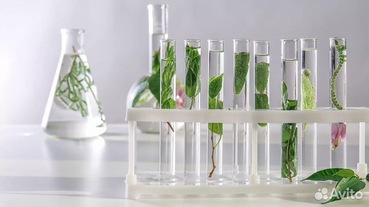 Колба для свадебного декора и флористики