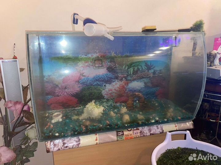 Аквариум