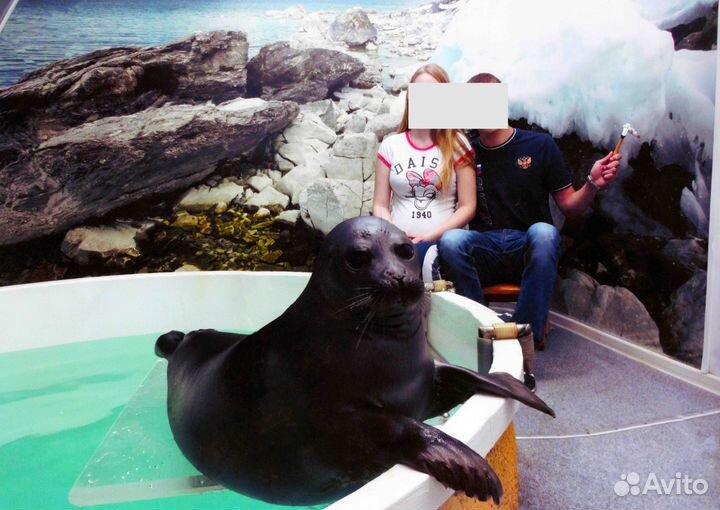 Печать фотографий разных размеров