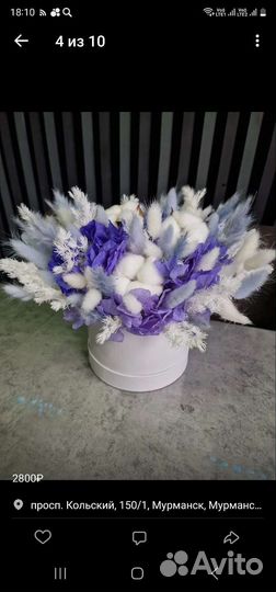 Сухоцветы цветы