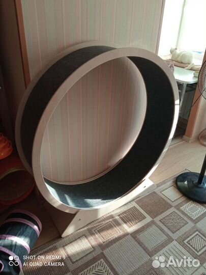 Кототрек (беговое колесо для кошек и собак)