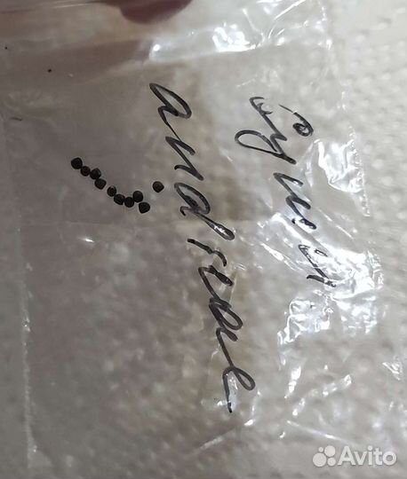 Семена кактусов