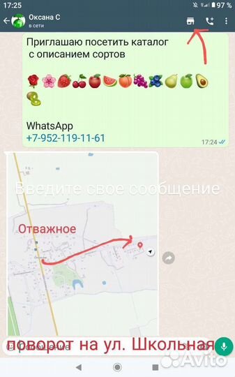 Фундук саженцы