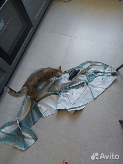 Дельфин надувной intex