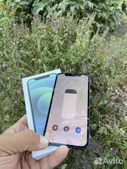 iPhone 12 128gb Blue