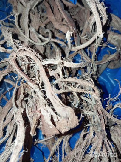 Золотой корень(Жень-Шень)