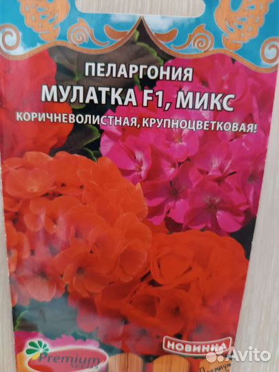 Пеларгония герань сортовая