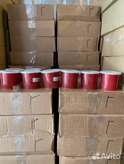 Красная Икра