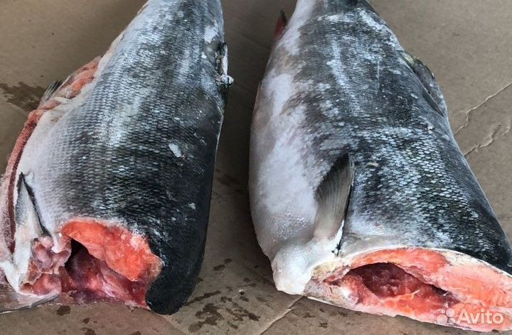 Нерка свежемороженая