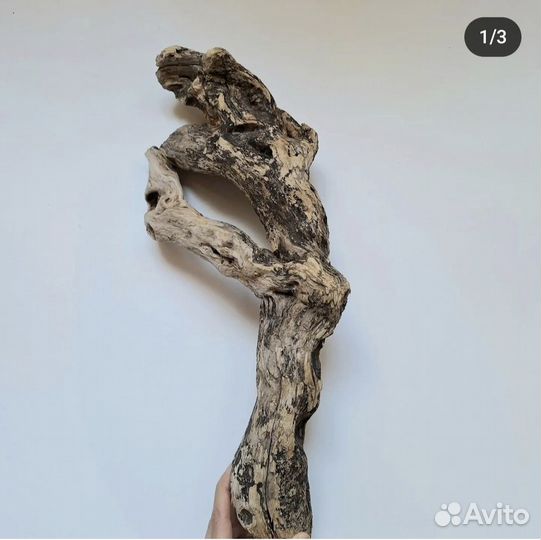 Коряги дрифтвуд