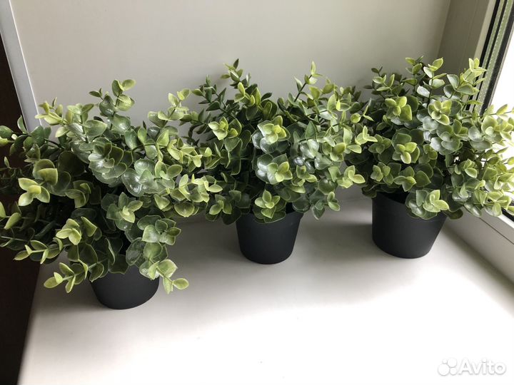 Искусственные растения IKEA