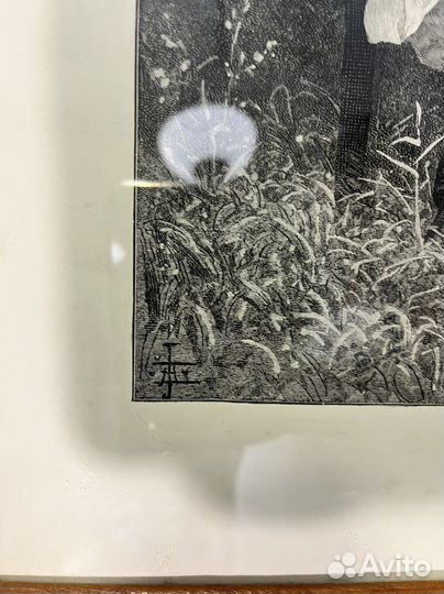 Гравюра мопс собака девочка антиквариат