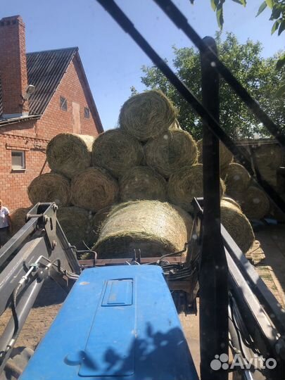 Услуги Трактора