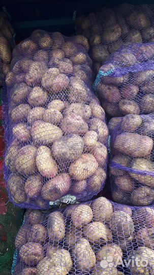 Домашний картофель