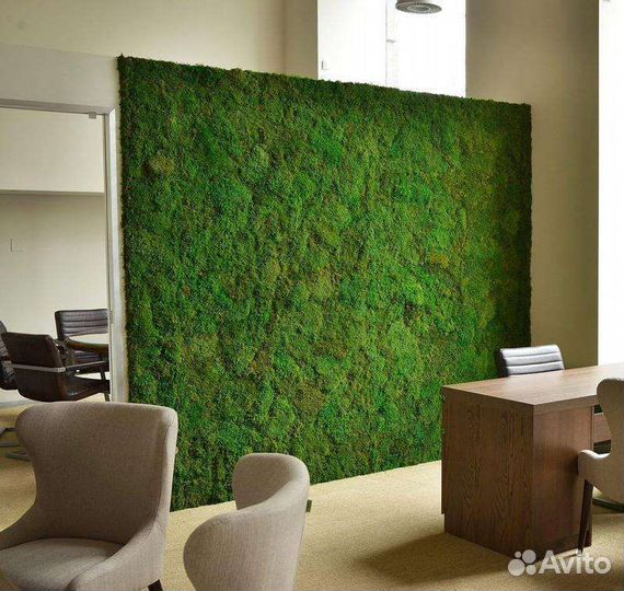 Фитостена из стабилизированного пластового мха