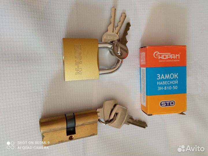 Замок и личинка