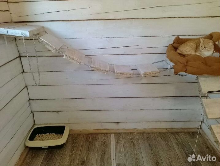 Гостиница для собак и кошек (передержка), зооняня