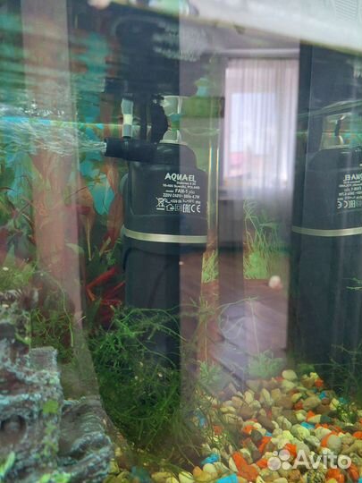 Аквариум 60л