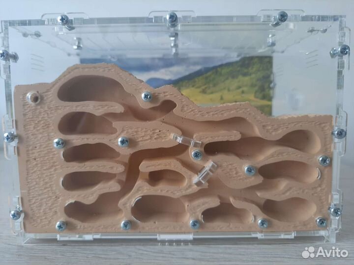 Вертикальная муравьиная ферма