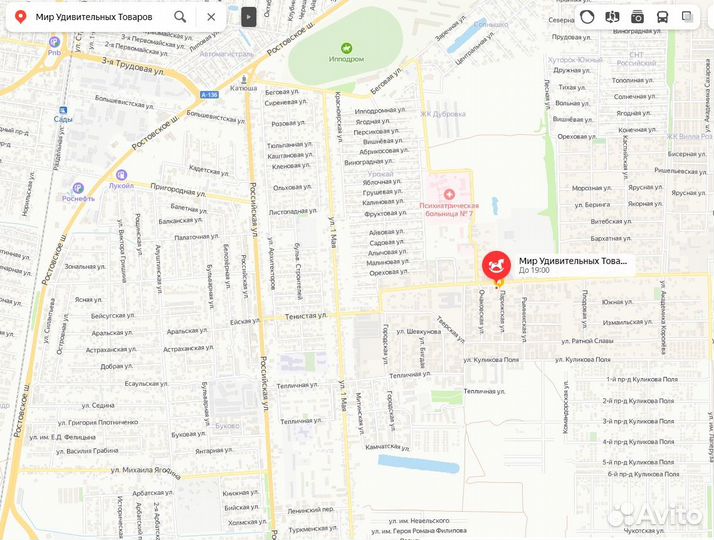 Патрик 60 см