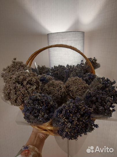 Лаванда сушеная