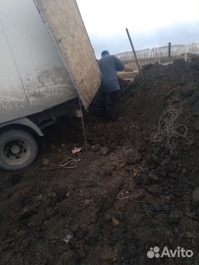 Чернозем, навоз