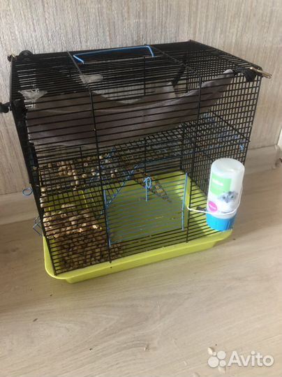 Клетка для хомяка бу