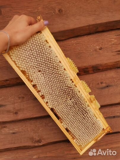 Мед в сотах с небольшой семейной пасеки