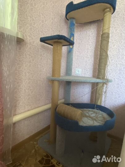 Домик когтеточка