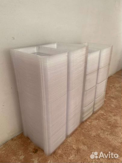 Контарки пищевые