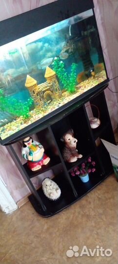 Аквариум с рыбками и тумбой