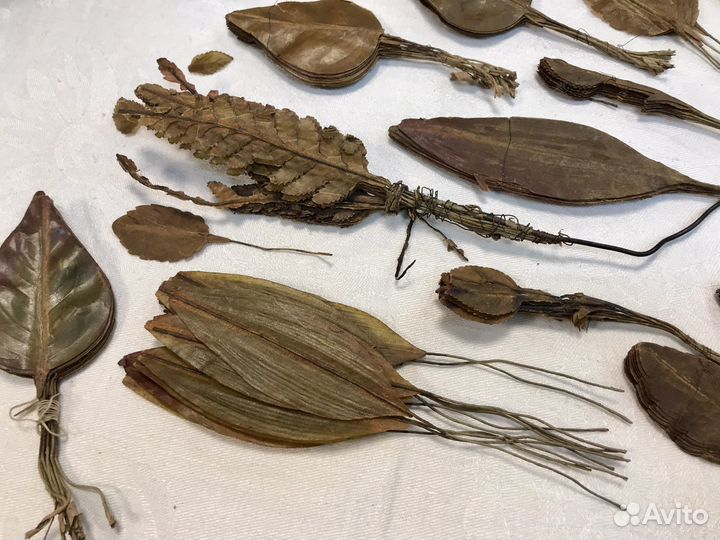 Сухие листья растений антикварные