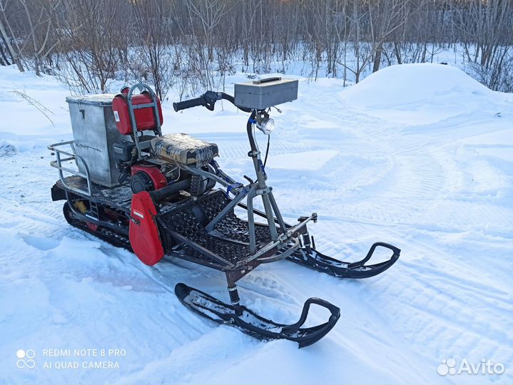 Мото собака